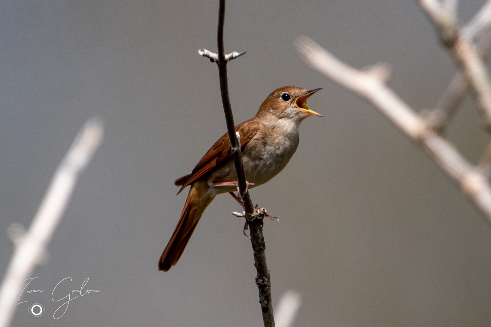 07 mei 2022 150815 1DX42220